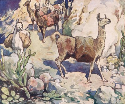 Alpaki na górskiej ścieżce, ilustracja z „Pomocnicy bez rąk” Gladys Davidson, wydanej w 1919 r. (kolor litho) autorstwa John Edwin Noble