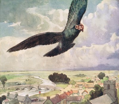 Ptak przelatujący nad miastem, ilustracja z „Pomocnicy bez rąk” Gladys Davidson, wydanej w 1919 r. (kolor litho) autorstwa John Edwin Noble
