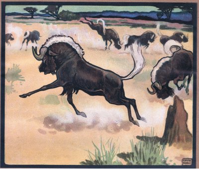 Gnu antylopa autorstwa John Edwin Noble