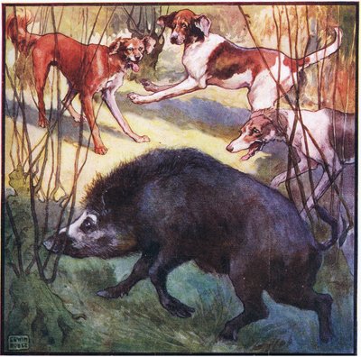 Opuszczając nieco głowę, podszedł prosto na mnie (kolor lito) autorstwa John Edwin Noble