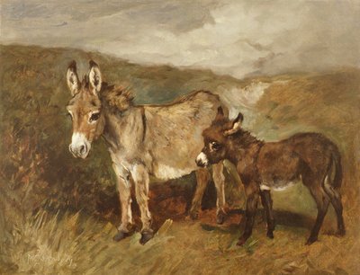 Osły na wrzosowisku, ok. 1890 r autorstwa John Emms