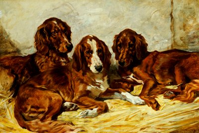 Shot i jego przyjaciele - Trzy setery irlandzkie czerwono-białe, 1876 autorstwa John Emms