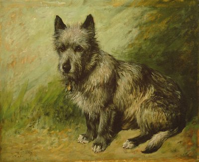 Łachmany autorstwa John Emms