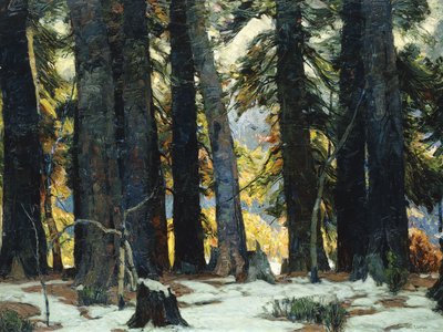 Sanktuarium autorstwa John Fabian Carlson