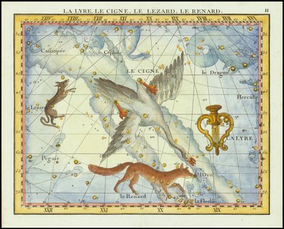 1776 - John Flamsteed - La Lyre, Le Cigne, Le Lezard, Le Renard (Lyra, Cygnus, Lacerta, Vupecula) autorstwa John Flamsteed