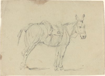 Osioł rozciągający tylną nogę autorstwa John Flaxman