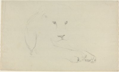 Lew autorstwa John Flaxman