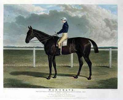 „Margrave”, zwycięzca Wielkich Nagród St. Leger w Doncaster autorstwa John Frederick Herring Snr