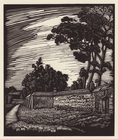 Cambridge: Peterhouse Wall, Coe Fen (drzeworyt) autorstwa John Frederick Greenwood