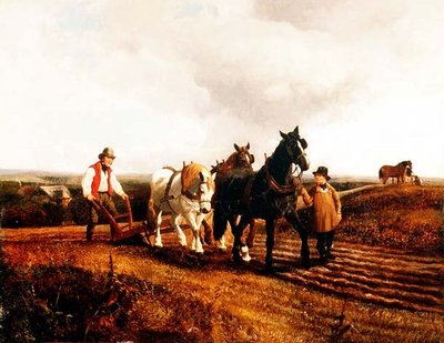 Orka autorstwa John Frederick Herring Jnr