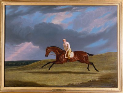 „Sztruks”, koń wyścigowy Bay, z podniesionym dżokejem, galopujący na torze wyścigowym autorstwa John Frederick Herring Senior