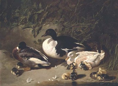 Kaczki i kaczątka nad stawem autorstwa John Frederick Herring Senior