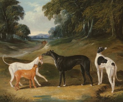 Charty, „Punkt”, „Skylark”, „Pokrzywa” i „Niebo” autorstwa John Frederick Herring Senior