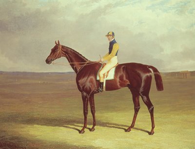 Pan M. Stanleys kula na Newmarket Heath, 1833 autorstwa John Frederick Herring Senior