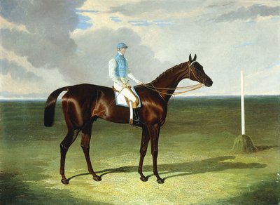 Pani Ridsdale