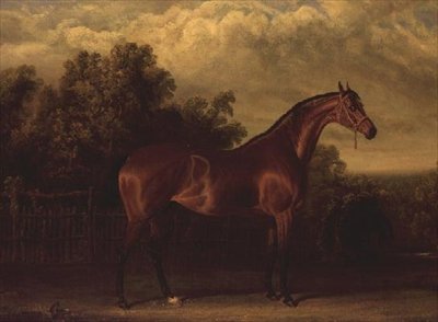 „Negocjator” Bay Colt w leśnym krajobrazie autorstwa John Frederick Herring Senior