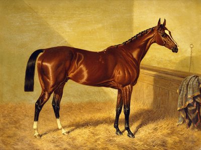 Orlando, Bay Racehorse w Loosebox, 1845 autorstwa John Frederick Herring Senior