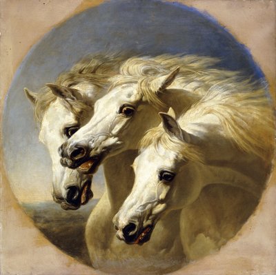 Konie faraona, 1848 autorstwa John Frederick Herring Senior