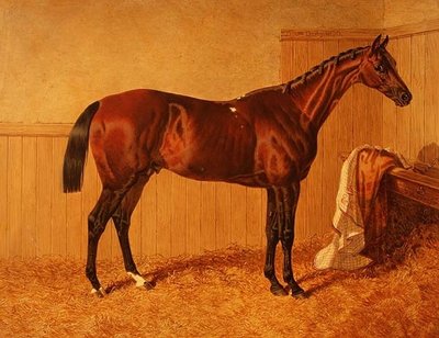 „Priam”, zwycięzca Derby w 1830 r. autorstwa John Frederick Herring Senior