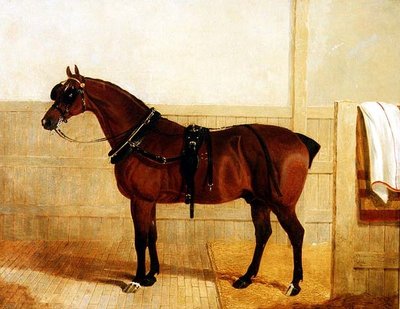 Nagroda Shire Horse w uprzęży autorstwa John Frederick Herring Senior