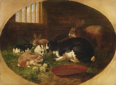 Domek dla królików autorstwa John Frederick Herring Senior