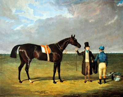 Rymarz autorstwa John Frederick Herring Senior