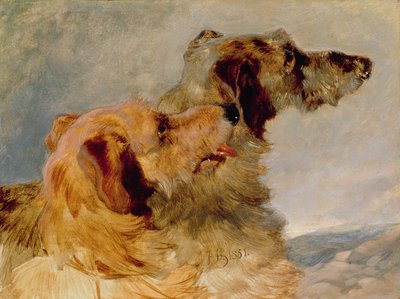 Dwa Deerhounds, 1851 (olej na papierze) autorstwa John Frederick Herring Senior