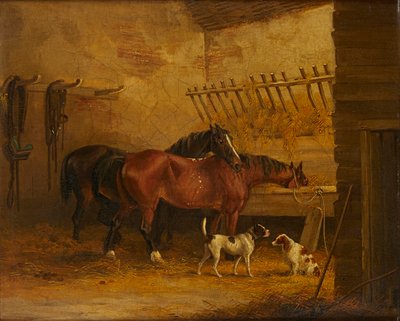 Konie i psy w stajni (olej na płótnie) autorstwa John Frederick Jr. (attr.to) Herring