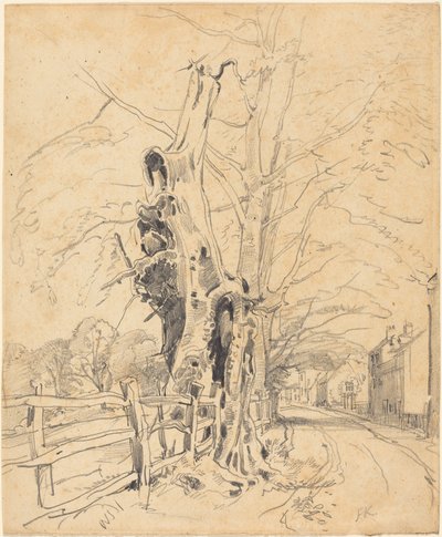 Drzewa przy płocie sztachetowym autorstwa John Frederick Kensett