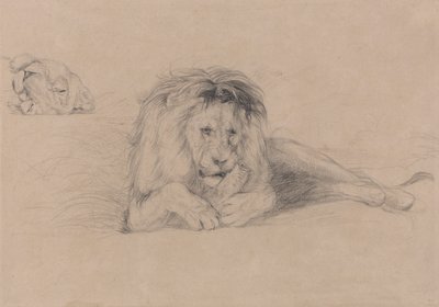 Studium lwa i studium głowy lwicy autorstwa John Frederick Lewis