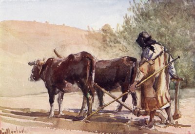 Orka na Górze Oliwnej (kolor litho) autorstwa John Fulleylove