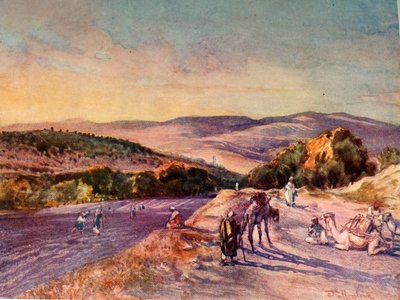Miejsce starożytnego miasta Samarii, 1902. autorstwa John Fulleylove