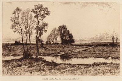Wrzosowisko w New Forest, niedaleko Lyndhurst (rycina) autorstwa John Fullwood
