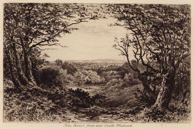 New Forest z okolic Castle Malwood (grawerunek) autorstwa John Fullwood