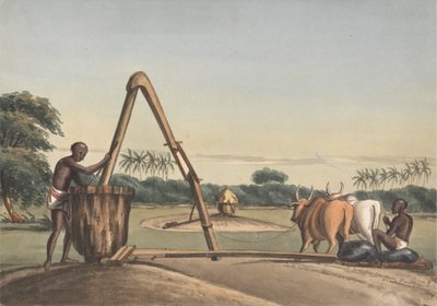 polish autorstwa John Gantz