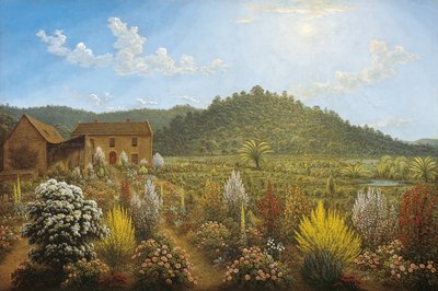 Widok na dom i ogród artysty w Mills Plains, Van Diemen