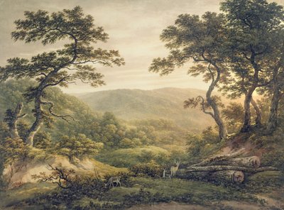 Needlewood Forest, Hampshire (akwarela na papierze) autorstwa John Glover