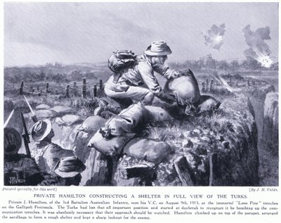 Szeregowy Hamilton budujący schronienie na oczach Turków w okopach Lone Pine na półwyspie Gallipoli Sierpień 1915 autorstwa John Harris Valda