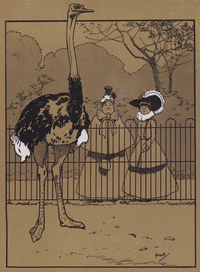Strusie pióra (kolor lito) autorstwa John Hassall