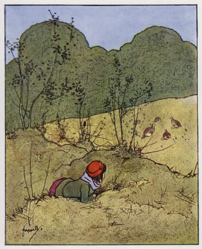 Kuropatwa (kolor lito) autorstwa John Hassall