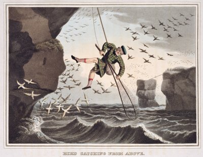 Bird Catching from Above, grawerowane przez Matthew Dubourga (fl.1785-1820), wydane przez Edwarda Orme, 1813 autorstwa John Heaviside Clark