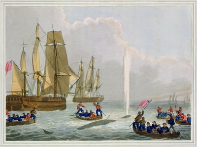 Łodzie podchodzące do wieloryba, rycina autorstwa Matthew Dubourga (1785-1820), wydana przez Edwarda Orme