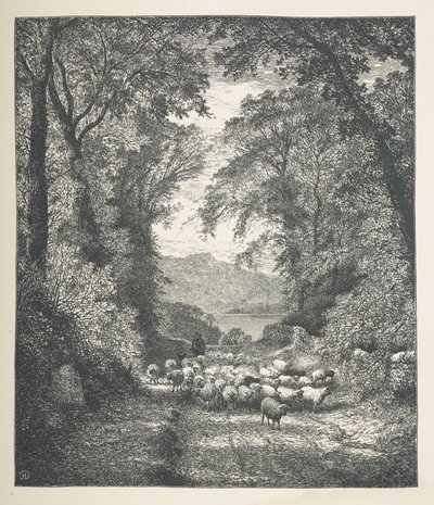 Tabliczka 4. Owce prowadzone przez pasterza po ścieżce.  Zdjęcia natury. Seria trzydziestu oryginalnych ilustracji narysowanych na drewnie przez JH Della i rytowanych przez R. Patersona.  John Henry Dell autorstwa John Henry Dell