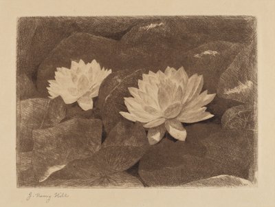 Lilie wodne autorstwa John Henry Hill
