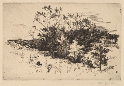 Jesienne Avondale autorstwa John Henry Twachtman