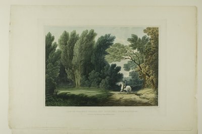 Widok miejsca, w którym padł generał Ross, w pobliżu Baltimore, płyta szósta z pierwszej liczby Malowniczych widoków amerykańskiej scenerii autorstwa John Hill