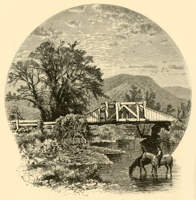 „Stary Most, Blackberry River, niedaleko Kanaanu”, 1874. autorstwa John J. Harley