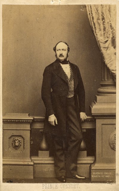 Książę małżonek. [Franciszek Karol August Emmanuel Albert, książę Saksonii-Coburg-Gotha]. autorstwa John Jabez Edwin Mayall