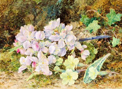 Kwiaty migdałów i pierwiosnki, 1868 (wc na karcie) autorstwa John Jesson Hardwick