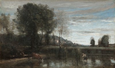 Staw w Ville-d